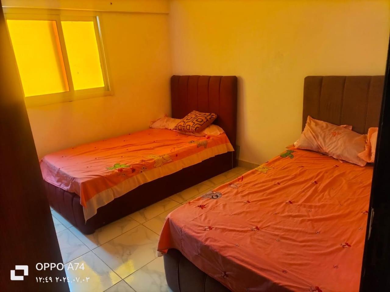 Flores Casas De Playa 亚历山大港 外观 照片