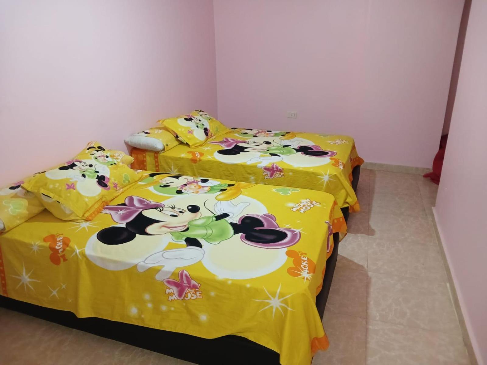 Flores Casas De Playa 亚历山大港 外观 照片
